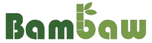 Logo Bambaw