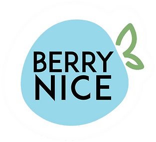 Logo Berry Nice