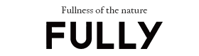 Logo marki FULLY