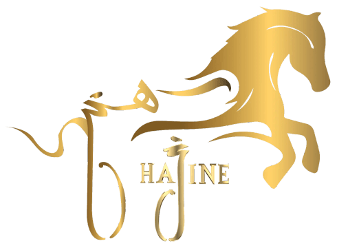 Logo marki Hajine