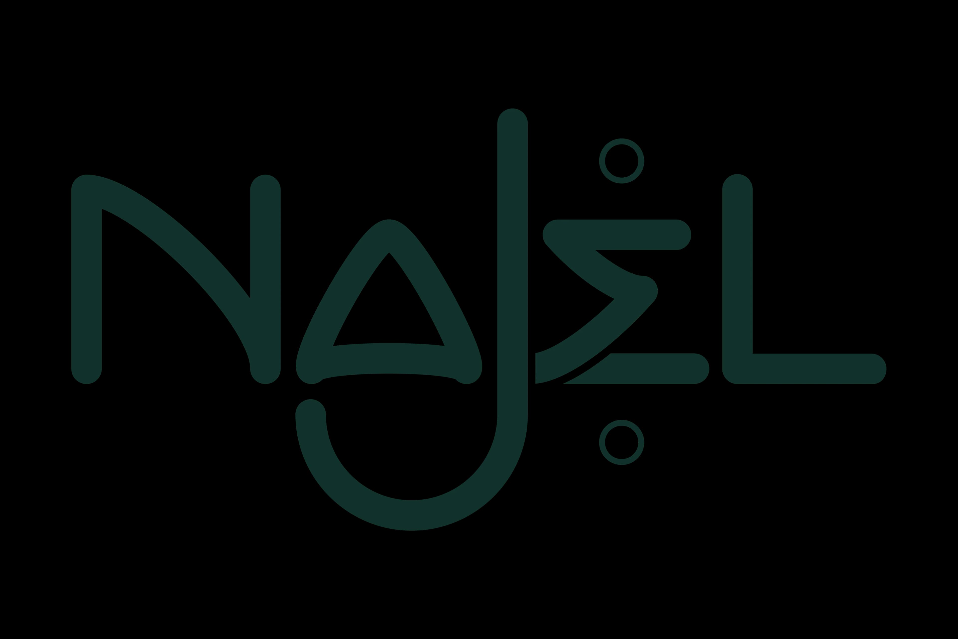 Logo Najel