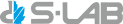 Logo S-Lab