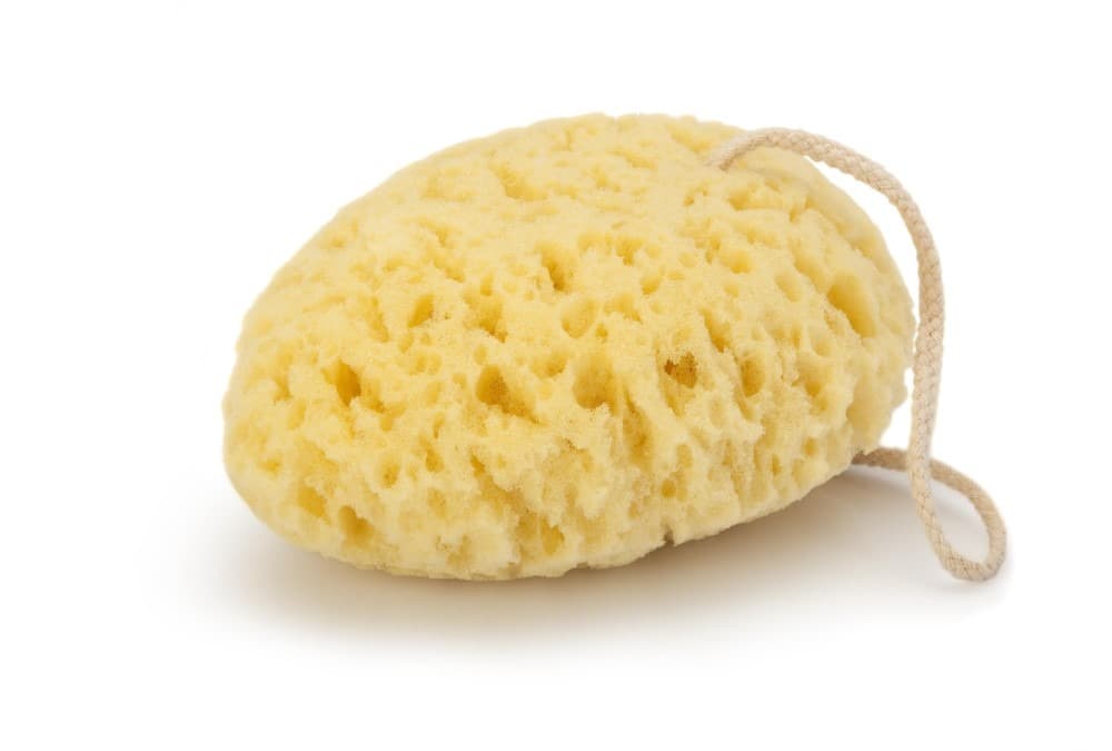 Gąbka do mycia, owalna