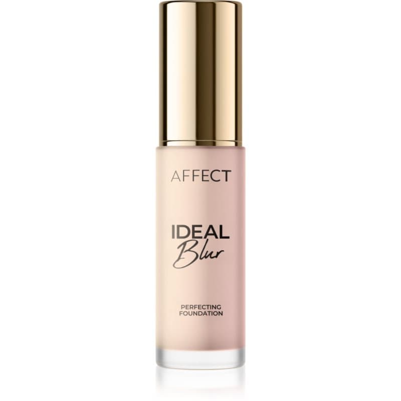 Ideal Blur podkład wygładzający odcień 1N