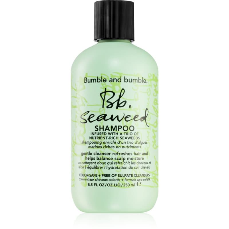 Seaweed Shampoo szampon do włosów kręconych z wyciągami z alg morskich