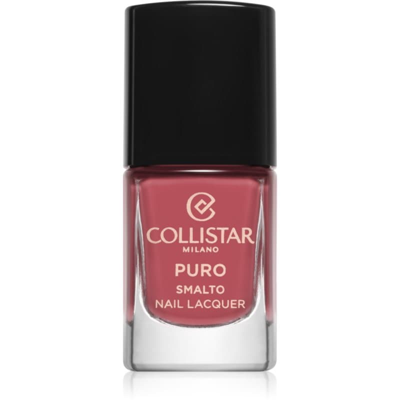 Puro Long-Lasting Nail Lacquer długotrwały lakier do paznokci odcień 102 Rosa Antico