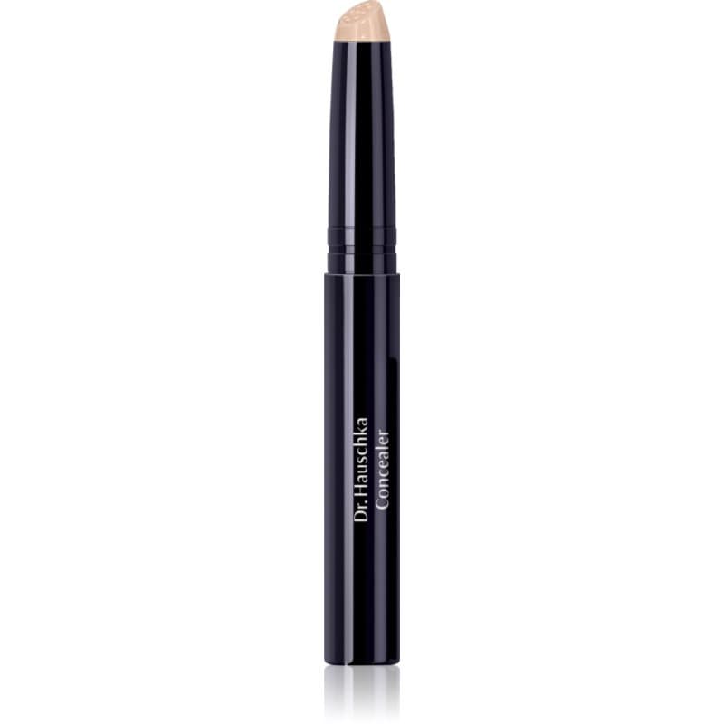 Concealer — korektor — 02 Chestnut