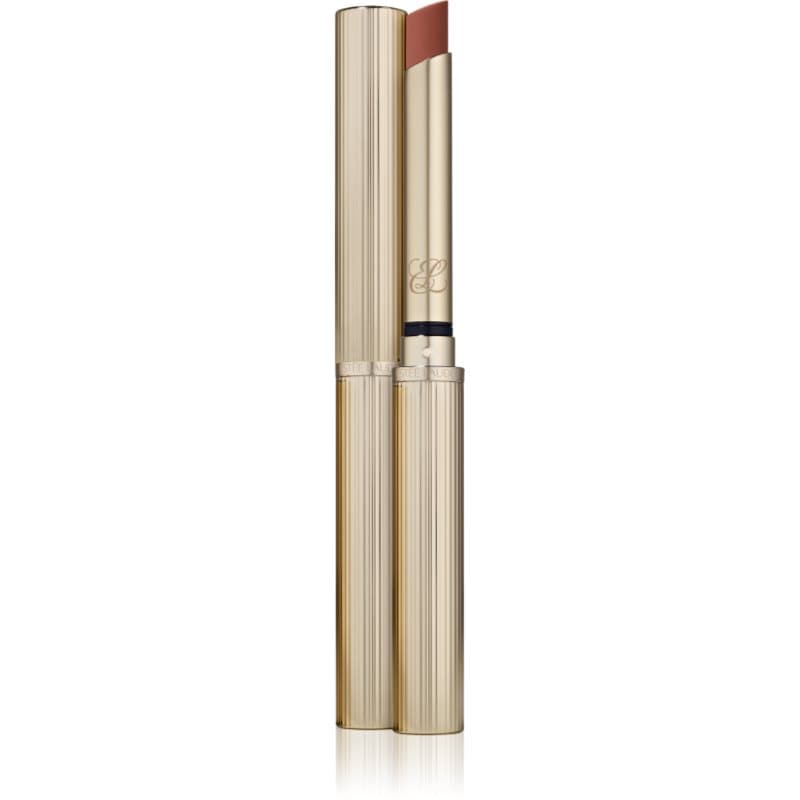 Pure Color Explicit Silk Matte Lipstick 201 Ulterior Motive