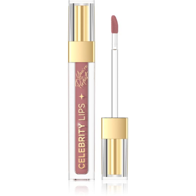 Celebrity Lips długotrwały matowa pomadka w płynie odcień 04C