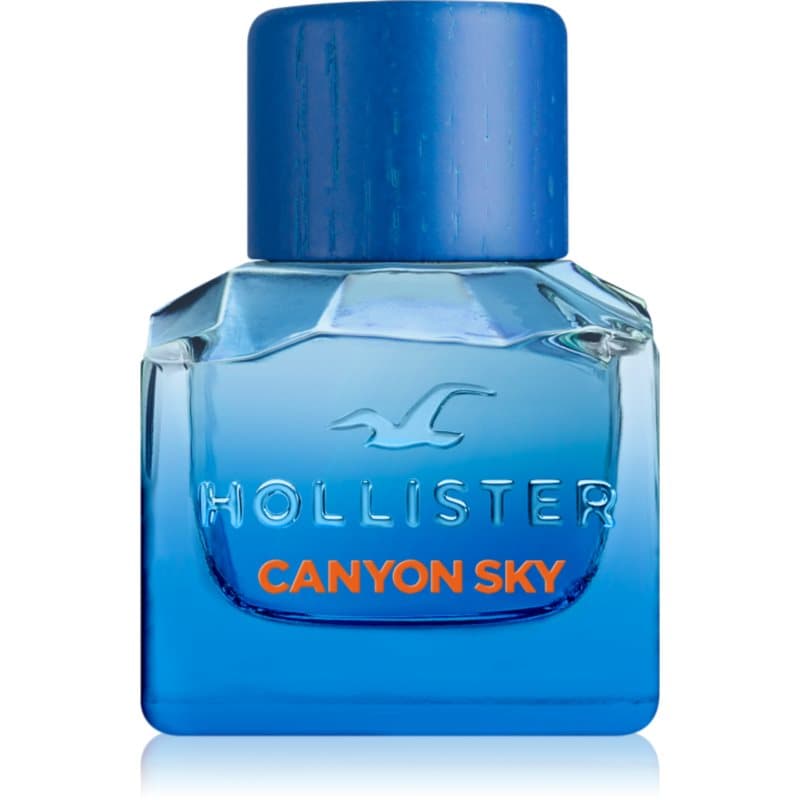 Canyon Sky For Him woda toaletowa dla mężczyzn