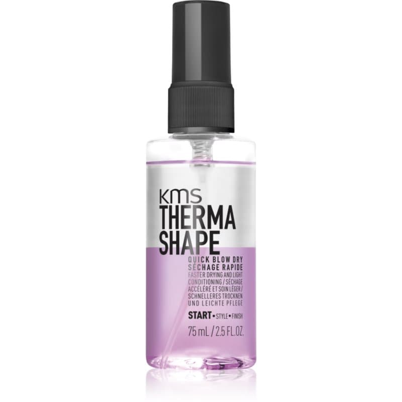 Thermashape Quick Blow Dry ochronny spray do stylizacji włosów przyspieszający suszenie