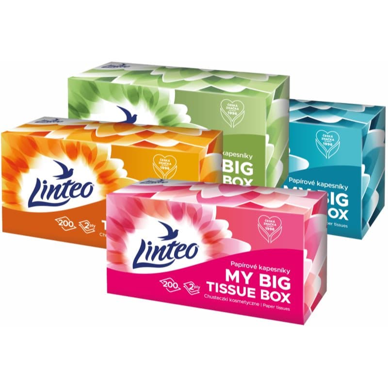 Paper Tissues Two-ply Paper, per box chusteczki papierowe
