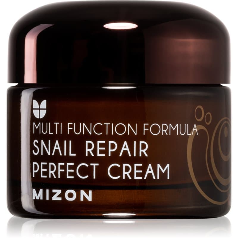 Multi Function Formula Snail krem do twarzy z ekstraktem ze śluzu z ślimaka 60%