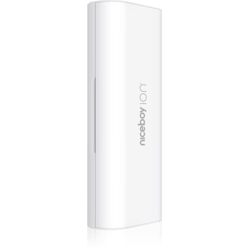 ION Sonic etui podróżne do szczoteczki do zębów White