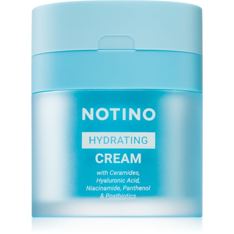 Hydrating Cream with Ceramides, Hyaluronic Acid, Niacinamide, Panthenol & Postbiotics krem nawilżający z ceramidami