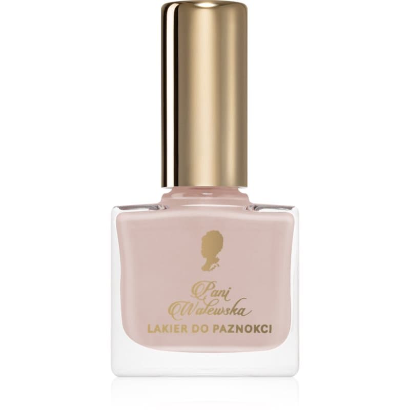 Nail polish szybkoschnący lakier do paznokci odcień No. 22 French