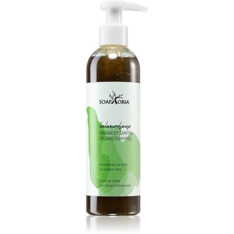 Hair Care Organic Shampoo płynny szampon organiczny do włosów przetłuszczających się