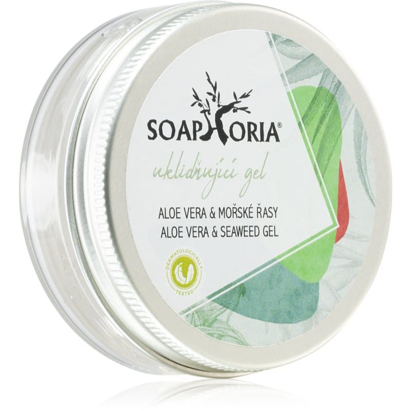 Care Aloe Vera & Seaweed Gel łagodzący żel z aloesem i wodorostami morskimi