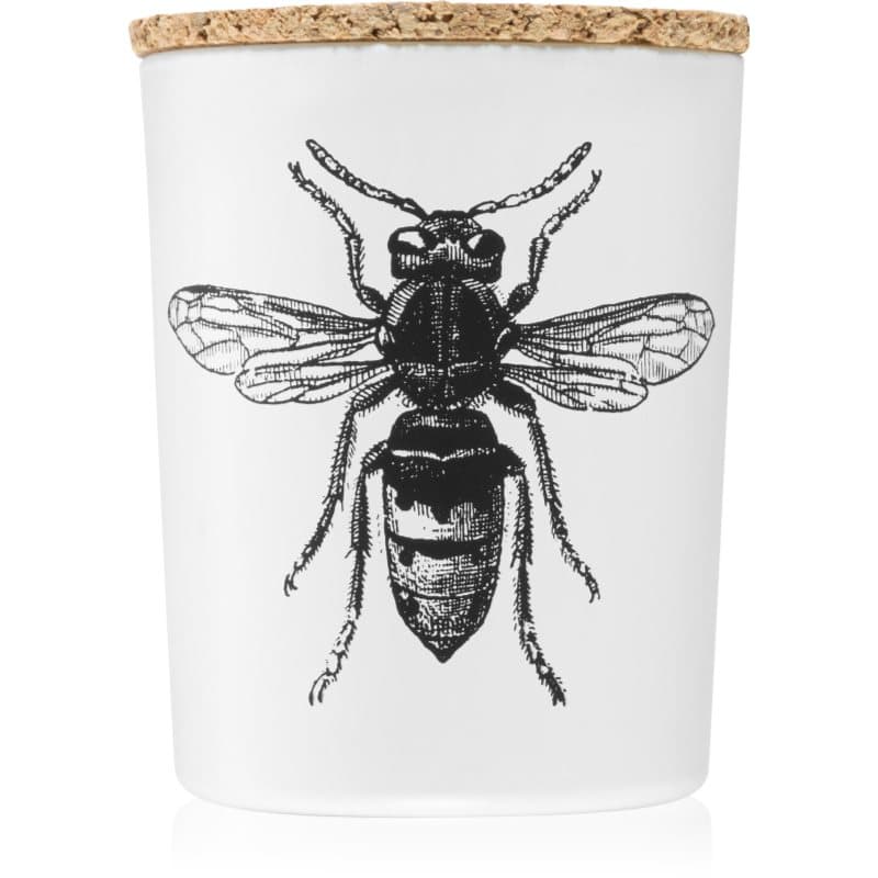 Insect Calabrone świeczka zapachowa