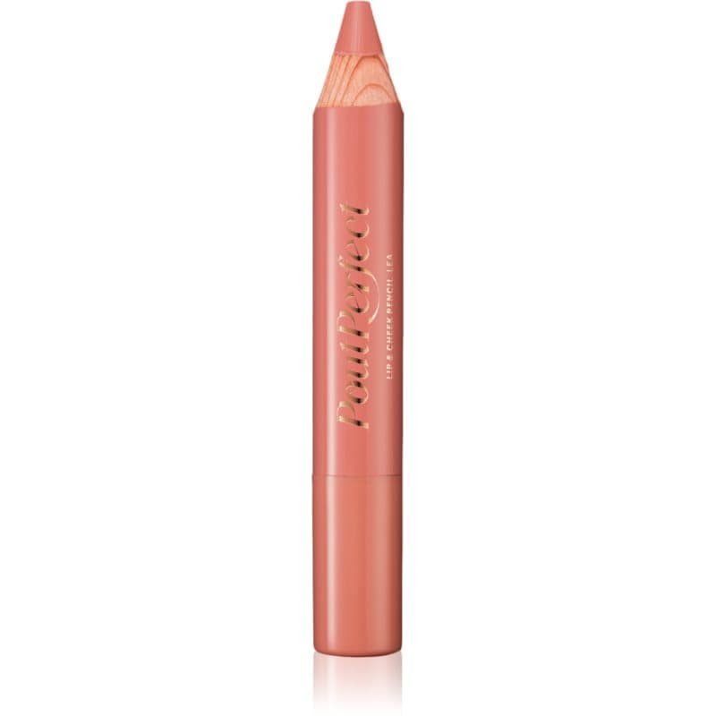 Pout Perfect Lipstick Pencil szminka w kredce odcień Lea