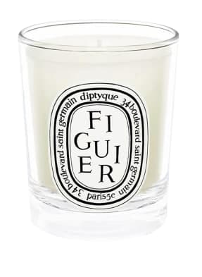 Figuier