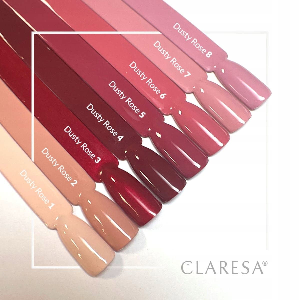 DUSTY ROSE zestaw cała KOLEKCJA hybryd