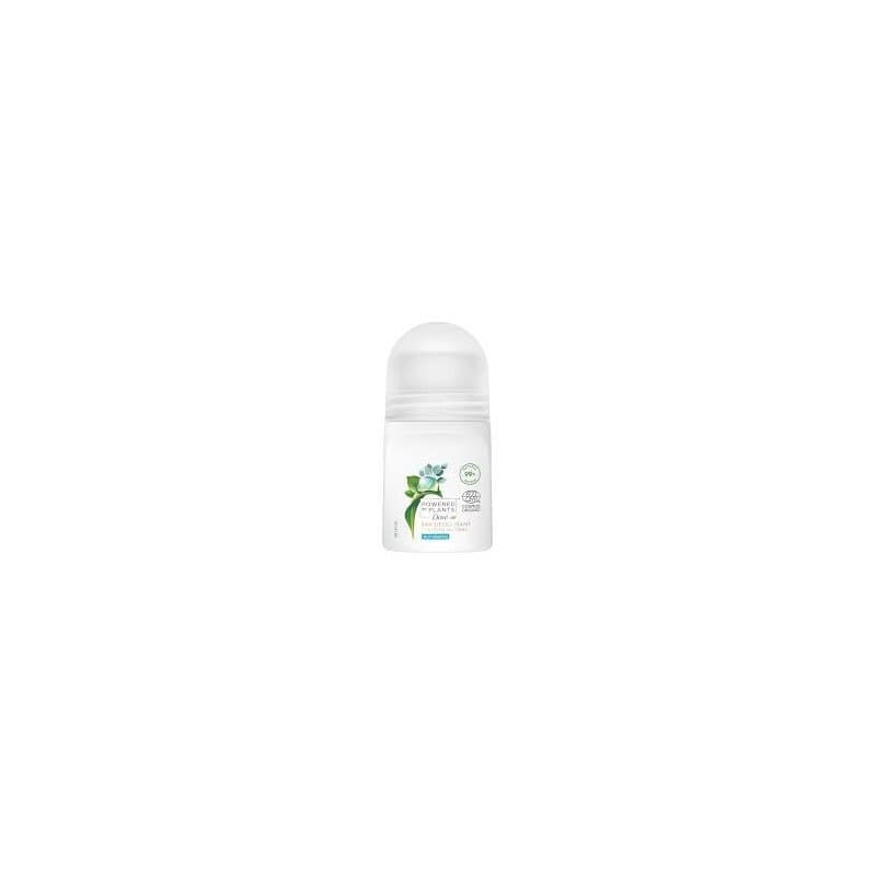 Eucalyptus Mint antyperspirant w kulce