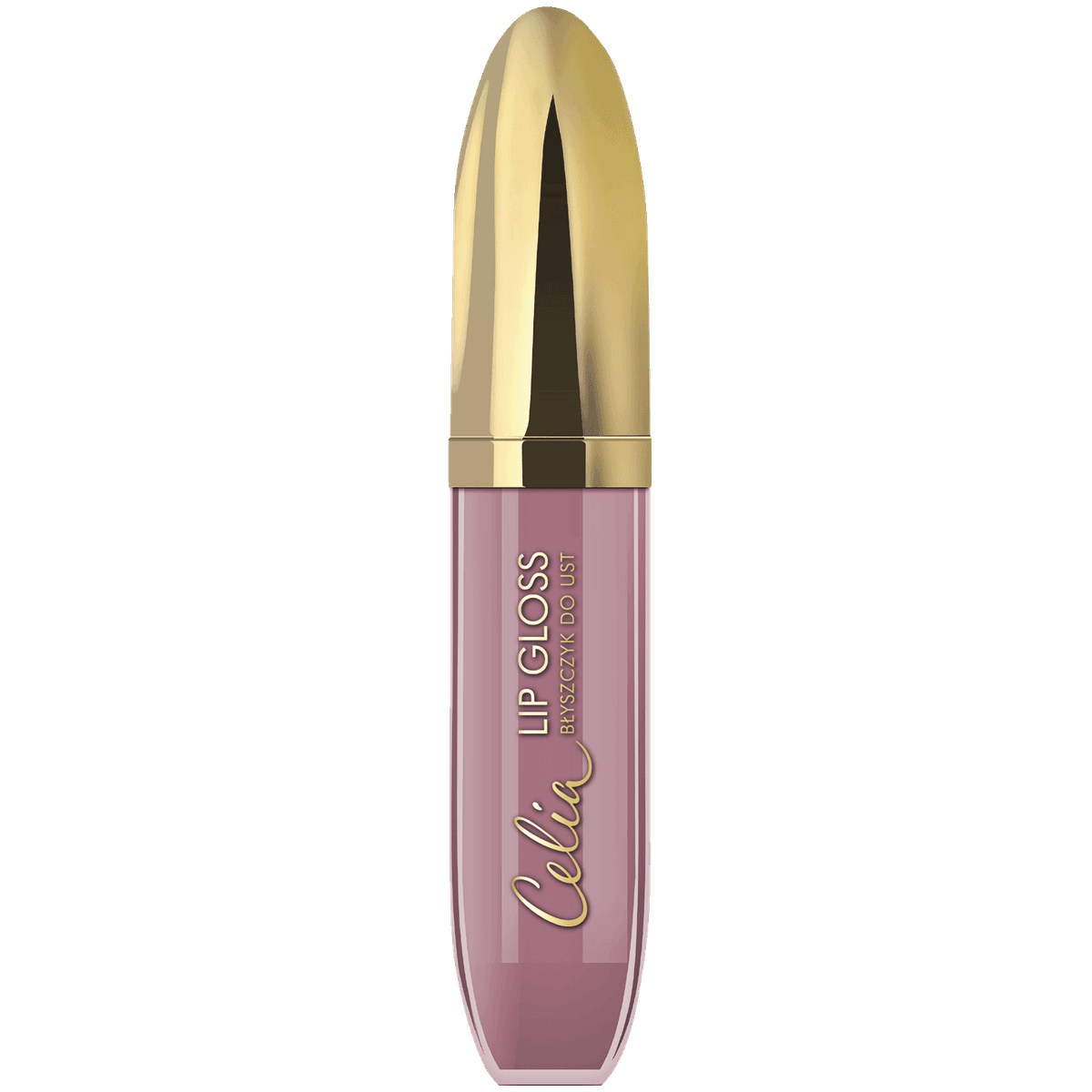Lip Gloss Błyszczyk do ust 104 beżowy róż