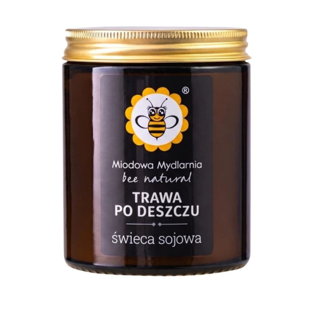 Świeca sojowa Trawa Po Deszczu