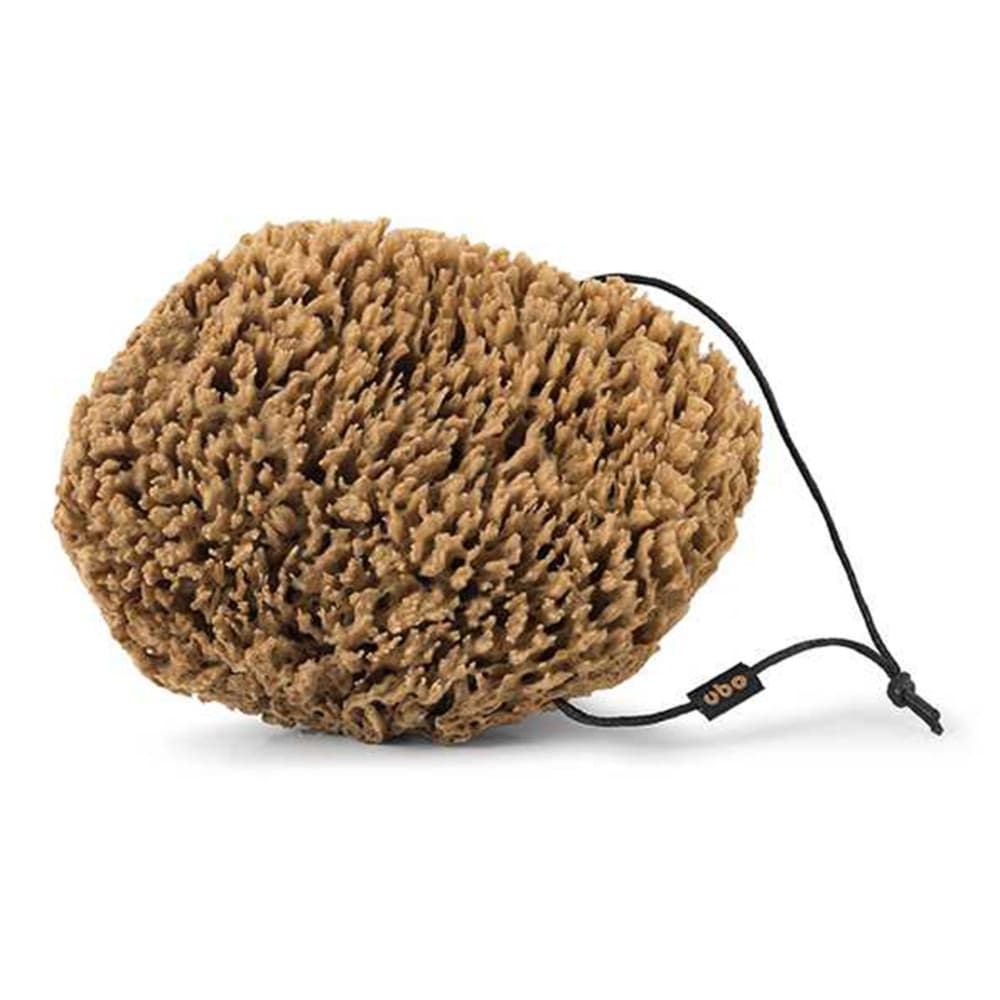 Naturalna gąbka Wełna. ( (8 - 11 cm))