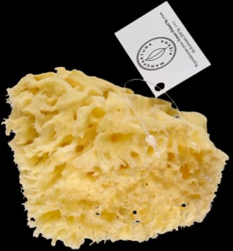 gąbka do ciała, naturalna