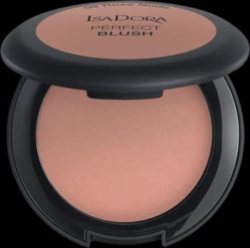 Perfect Blush róż do policzków, nr 09 Rose Nude