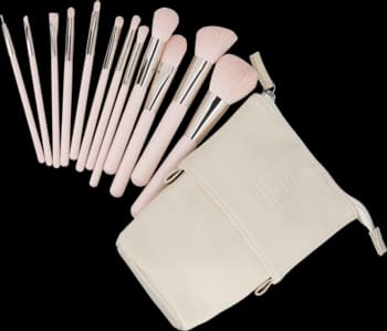Basic zestaw 12 pędzli do makijażu z etui, Różowy