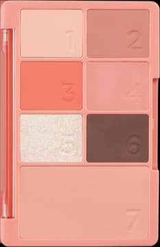 Color Pattern Palette 001 Coral Pattern