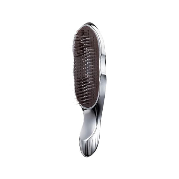 Ion Care Brush RS-AI00A -