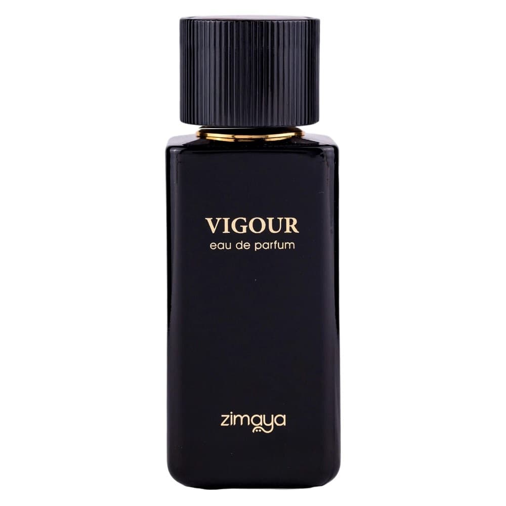 Vigour woda perfumowana spray (M)