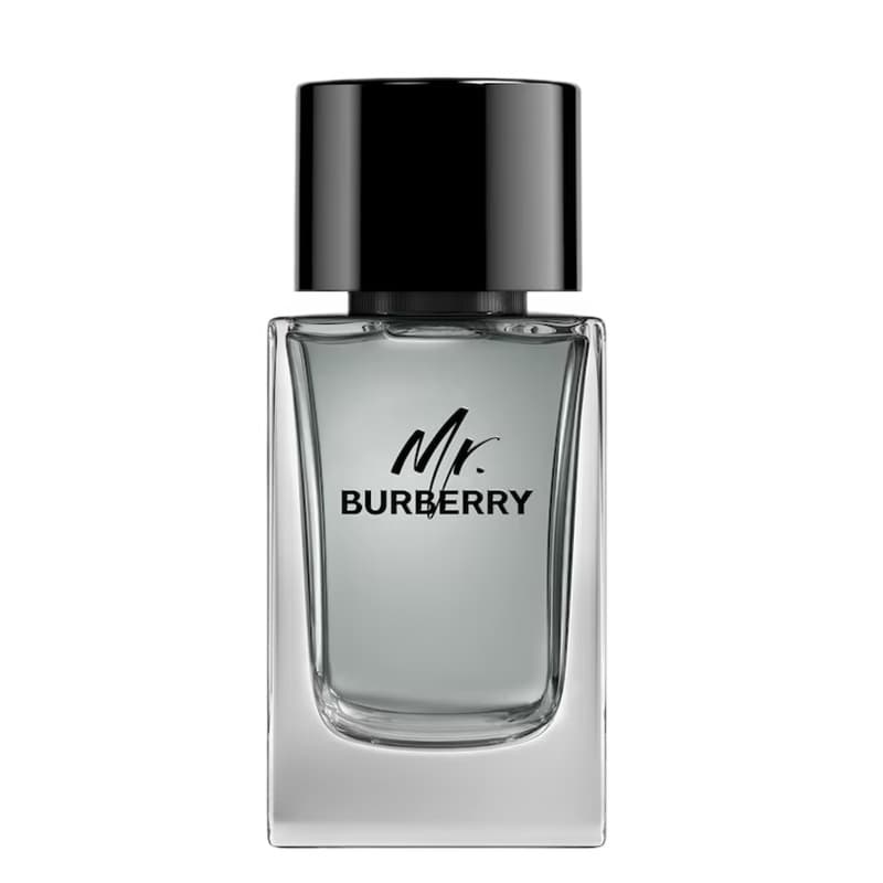Mr. Burberry Edt Spray