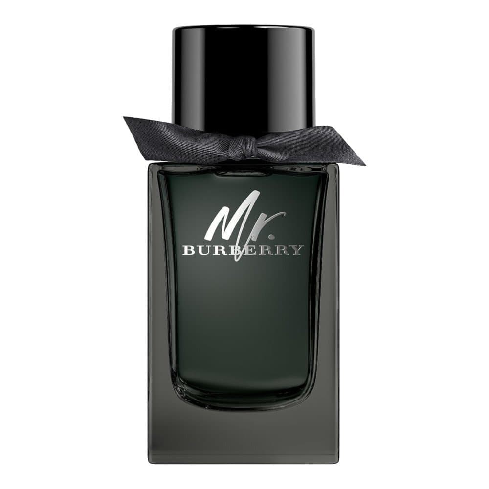 Mr.Burberry woda perfumowana spray (M)