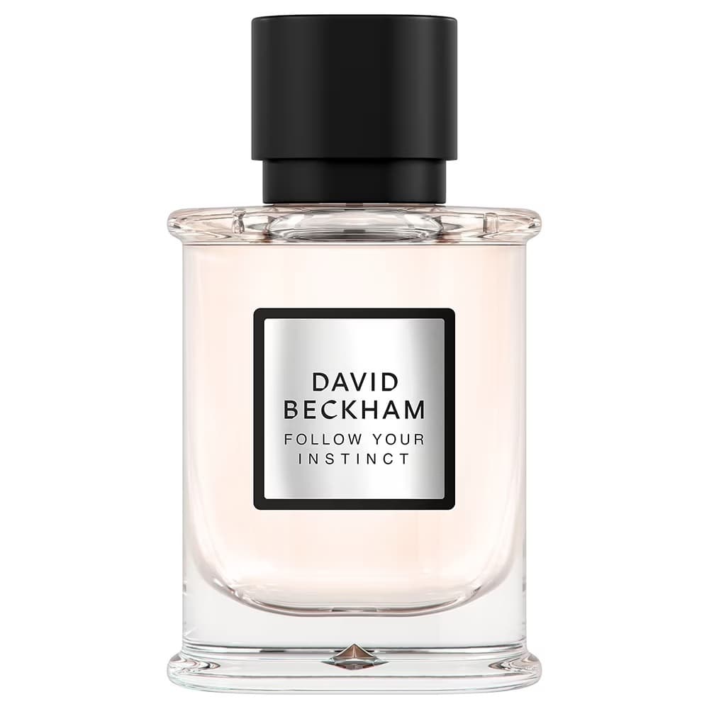 David Beckham Follow Your Instinct woda perfumowana spray (M)