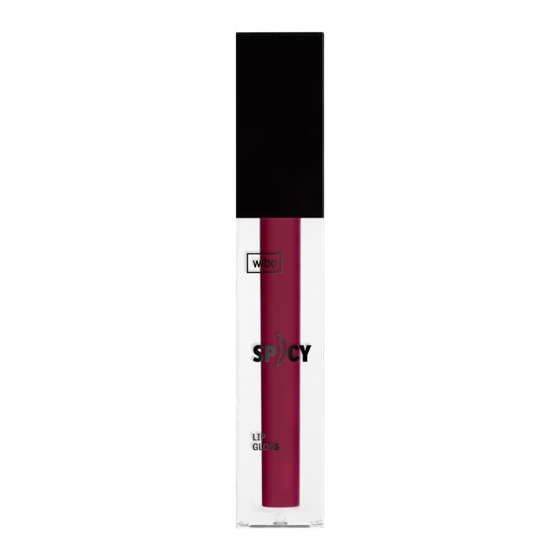 Spicy Lip Gloss błyszczyk do ust 22