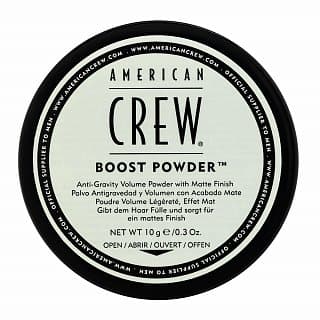 Boost Powder puder do włosów bez objętości