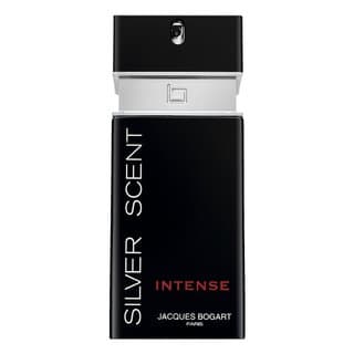 Silver Scent Intense woda toaletowa dla mężczyzn