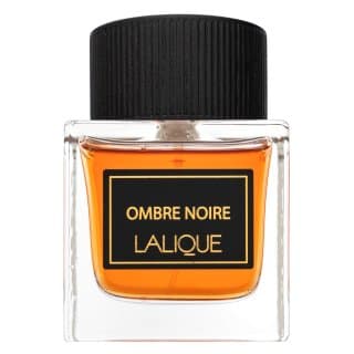 Ombre Noire woda perfumowana dla mężczyzn