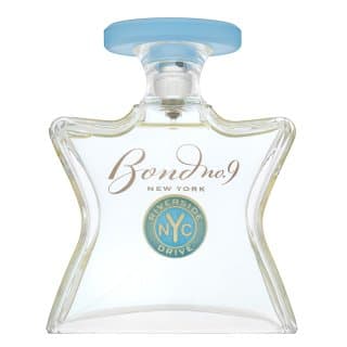 Riverside Drive woda perfumowana dla mężczyzn
