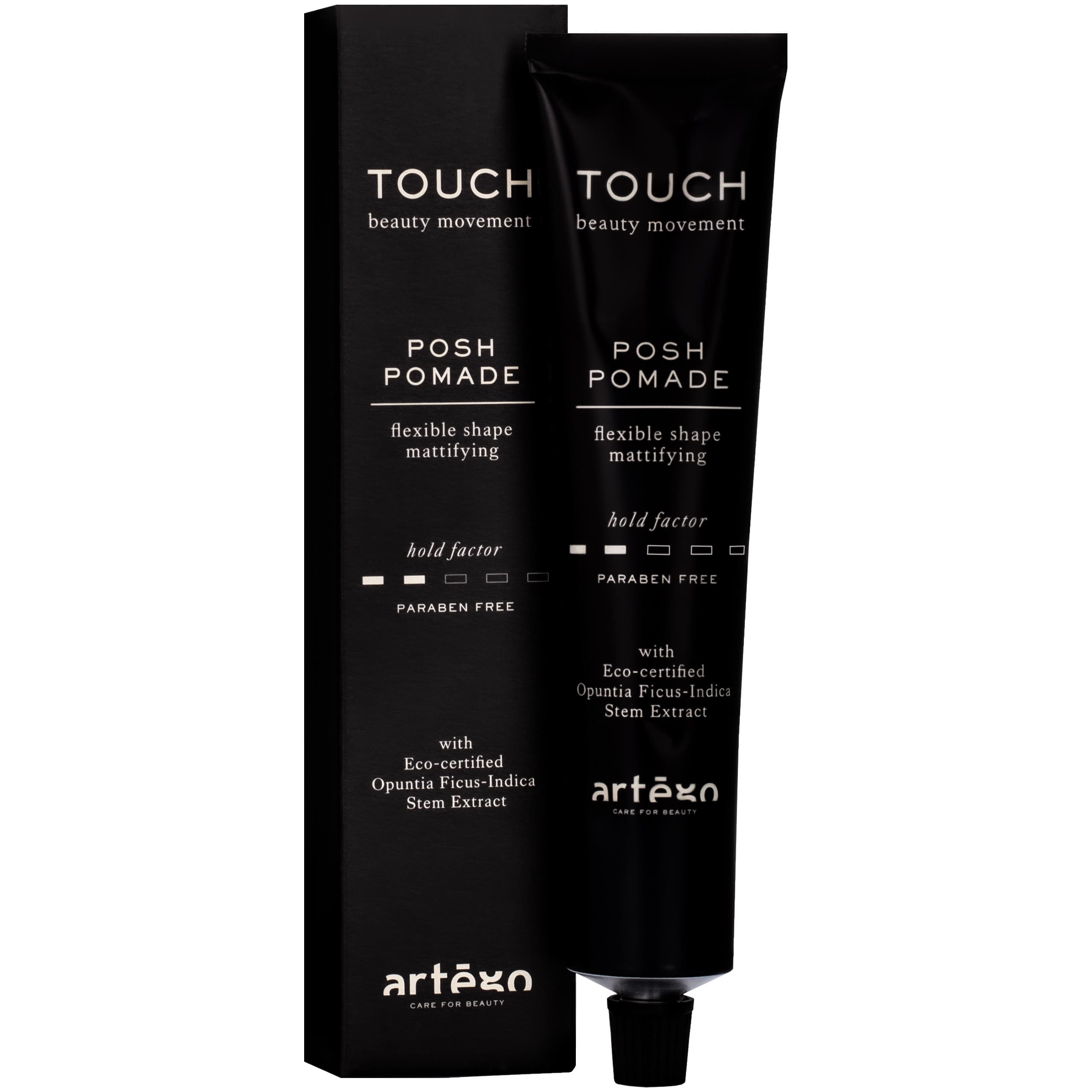 Touch Posh Pomade pomada modelująca do włosów matowe wykończenie
