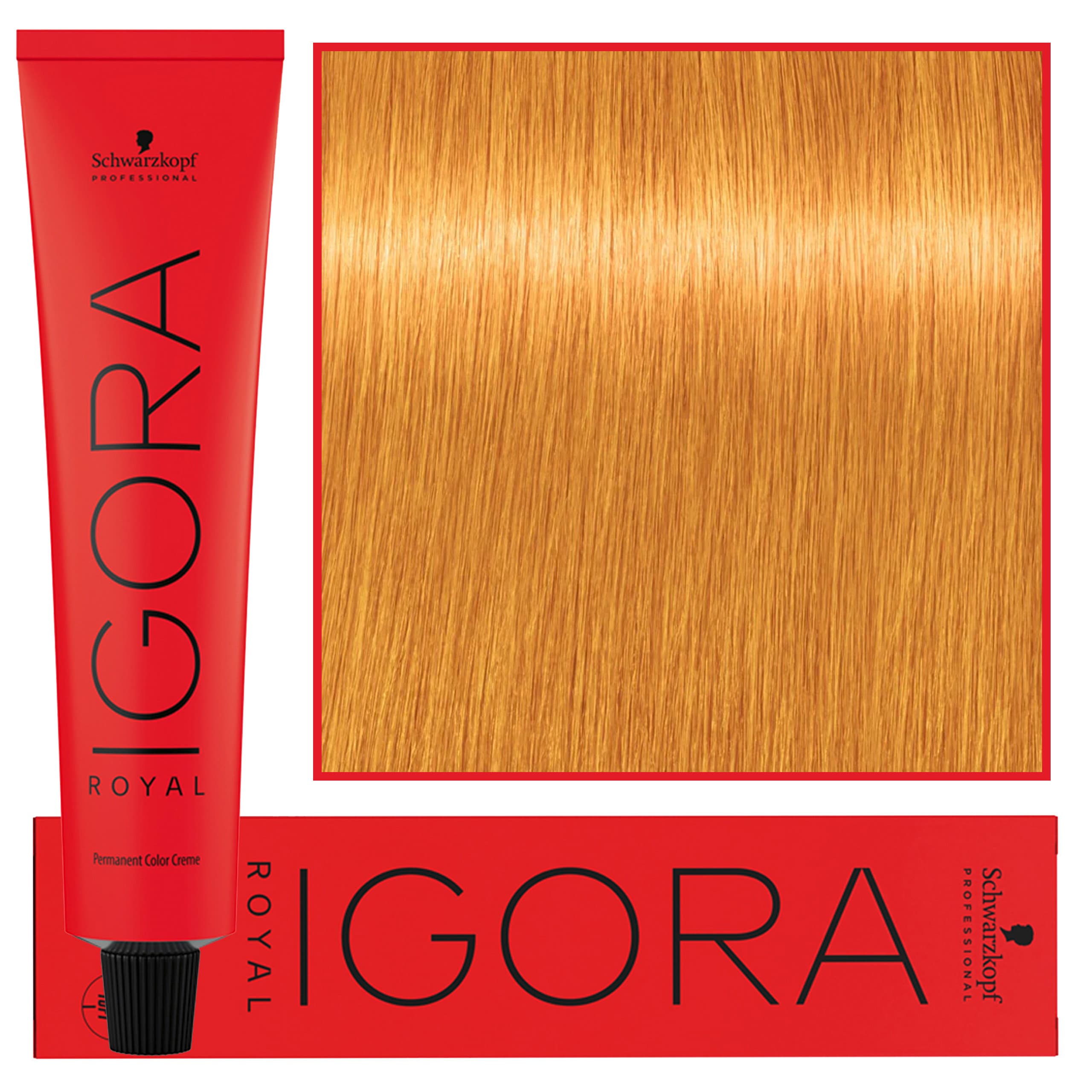IGORA Royal farba do włosów odcień 0-11 Anti Yellow Concentrate