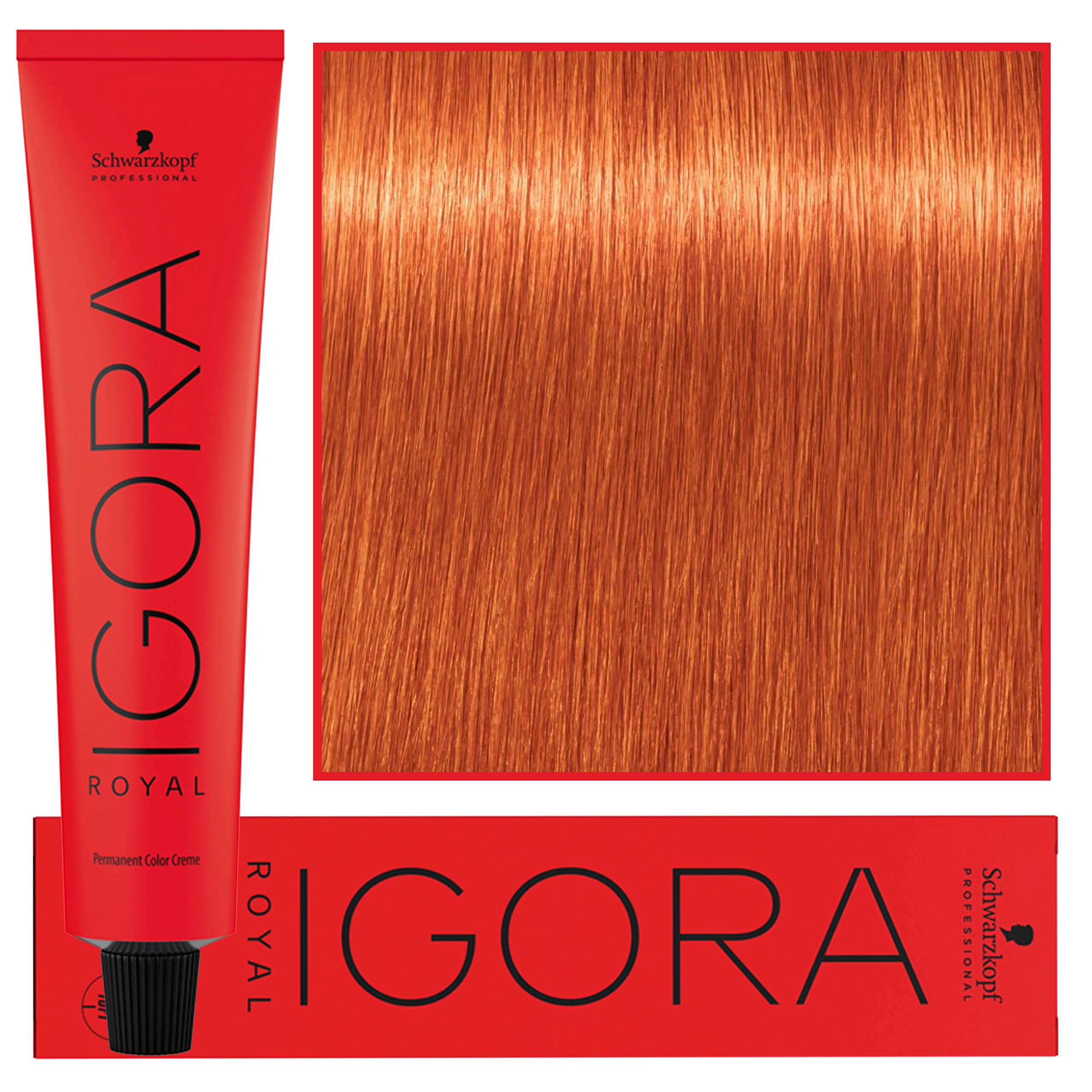 IGORA Royal farba do włosów odcień 0-11 Anti Yellow Concentrate