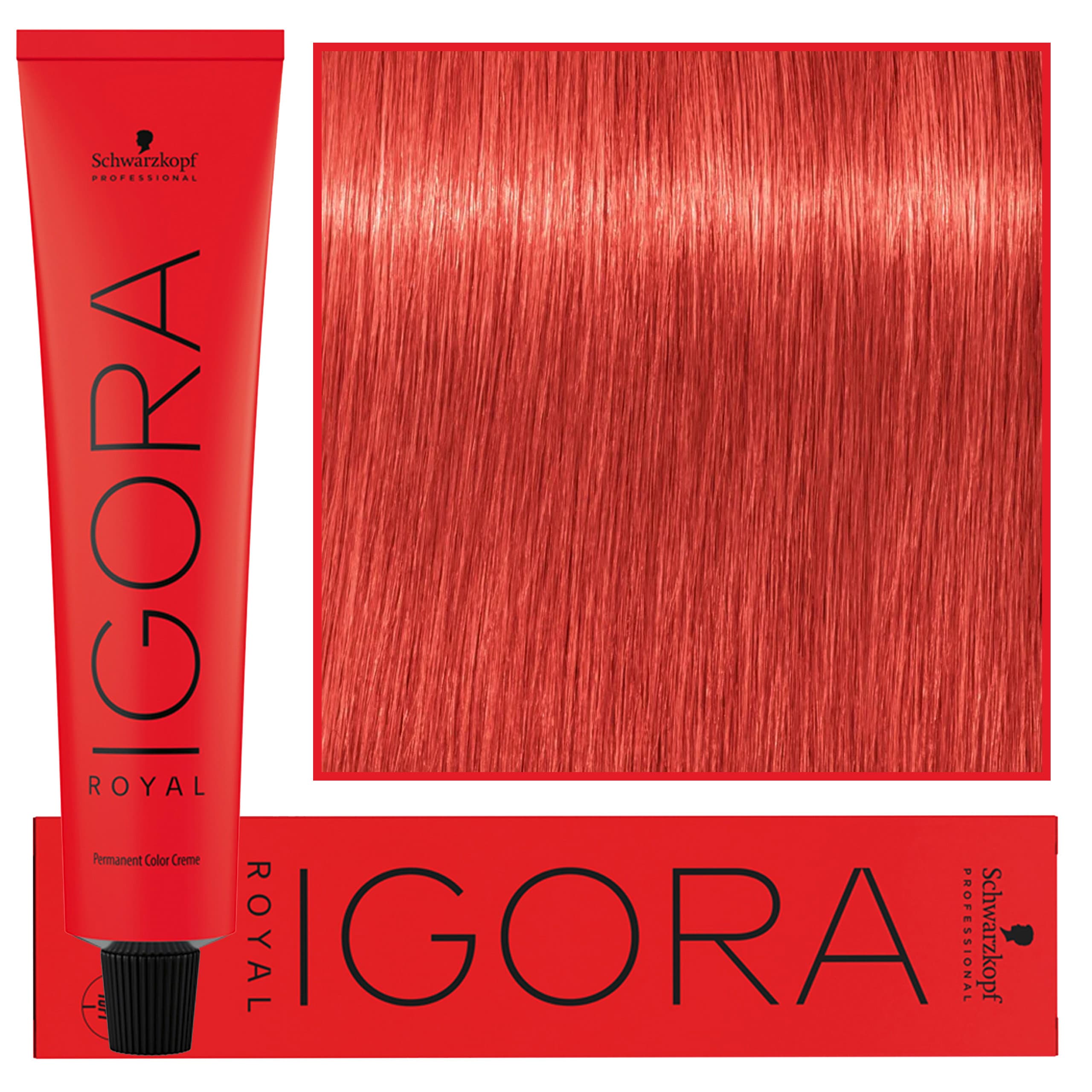 IGORA Royal farba do włosów odcień 0-11 Anti Yellow Concentrate