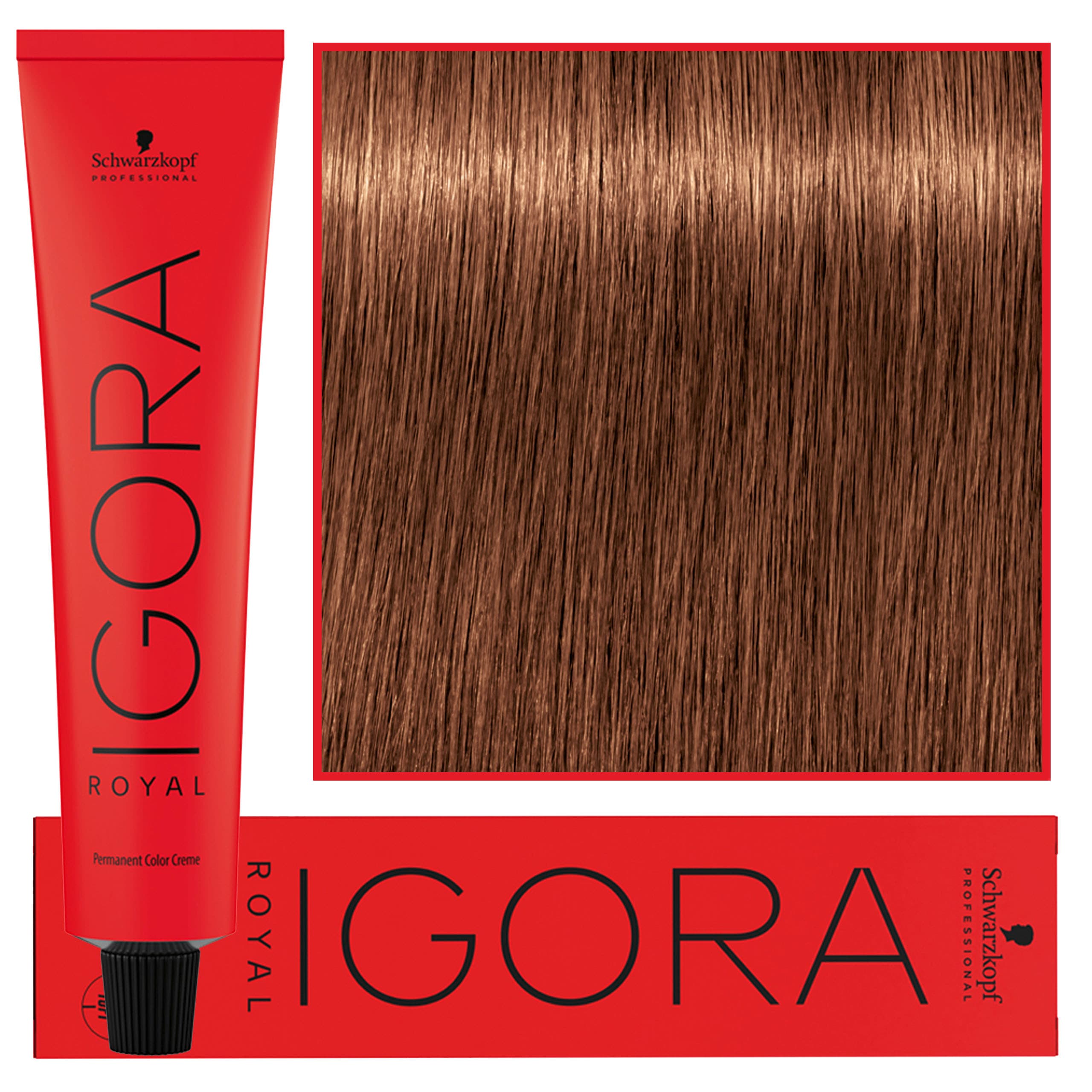 IGORA Royal farba do włosów odcień 0-11 Anti Yellow Concentrate