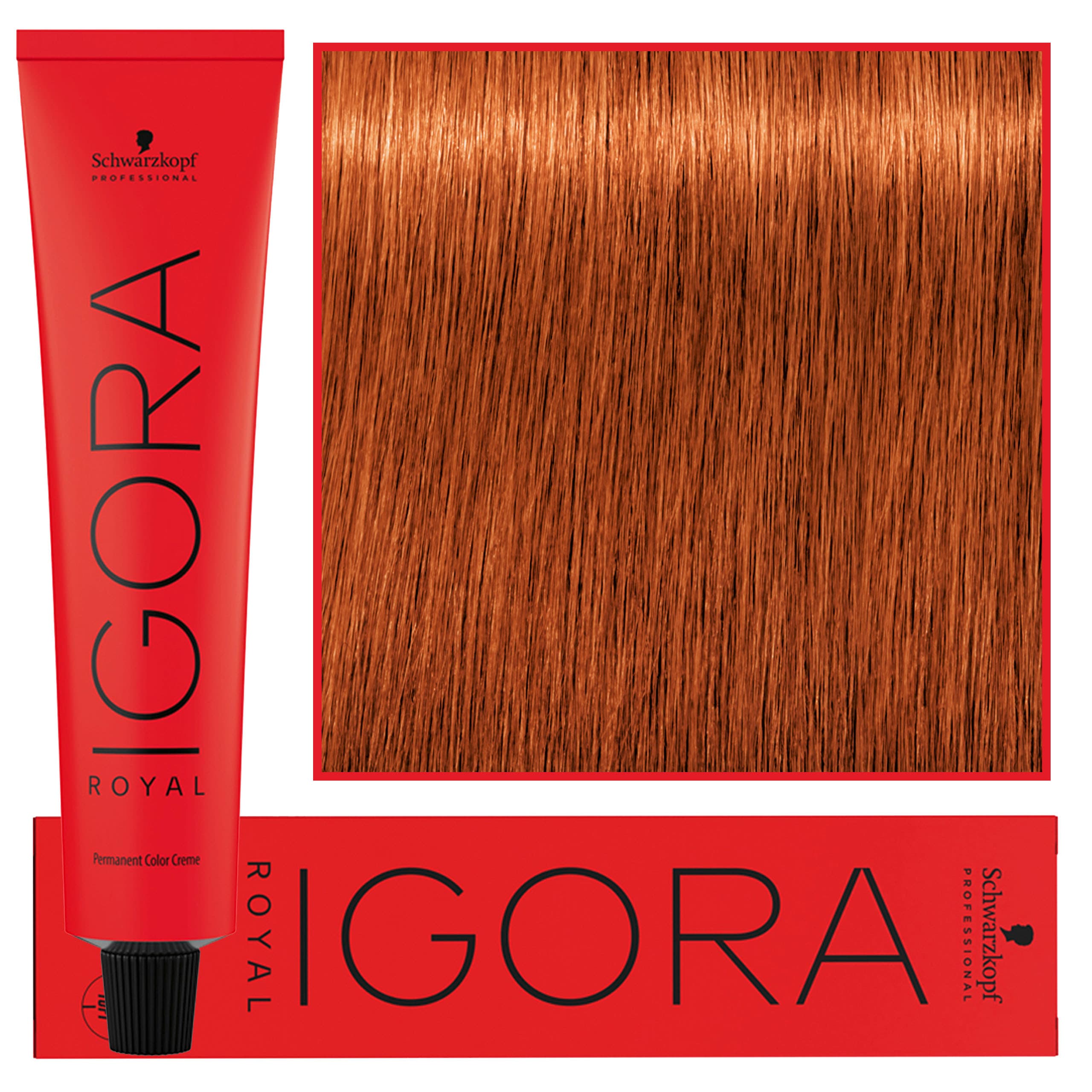 IGORA Royal farba do włosów odcień 0-11 Anti Yellow Concentrate